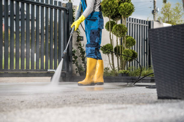 Best Local Pressure Washing Services  in Lynnwood, WA