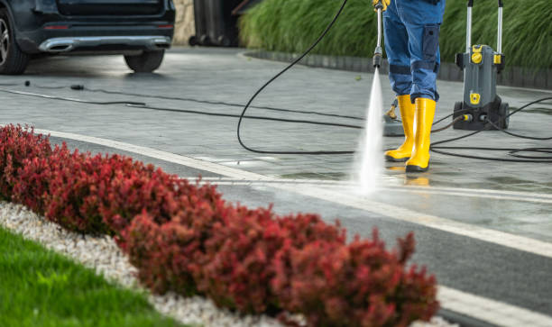 Professional Pressure Washing in Lynnwood, WA