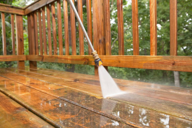 Best Roof Pressure Washing  in Lynnwood, WA
